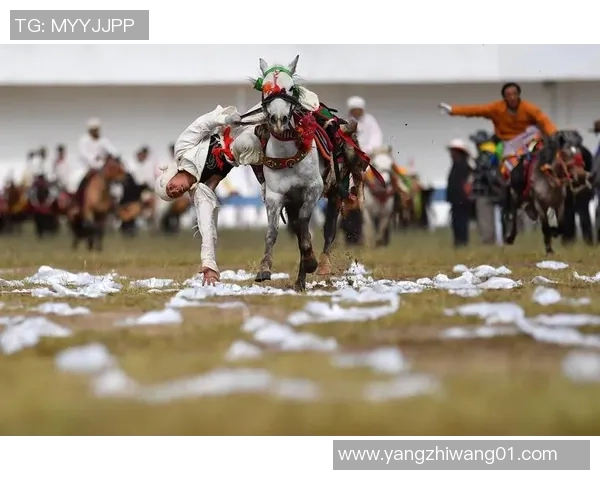 那曲与拉萨足球比赛精彩直播全程回顾与赛后分析 那曲与拉萨足球比赛精彩直播全程回顾与赛后分析