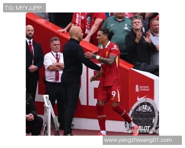 努涅斯在赛场上的崛起与挑战解析，未来能否成为足球界的新星