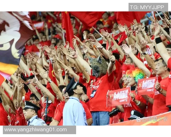 山东体育频道全程直播精彩足球比赛助力球迷激情体验