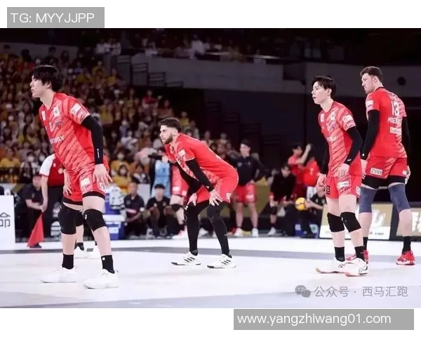 中国男排迎战德国男排全力争胜展现竞技风采与团队精神