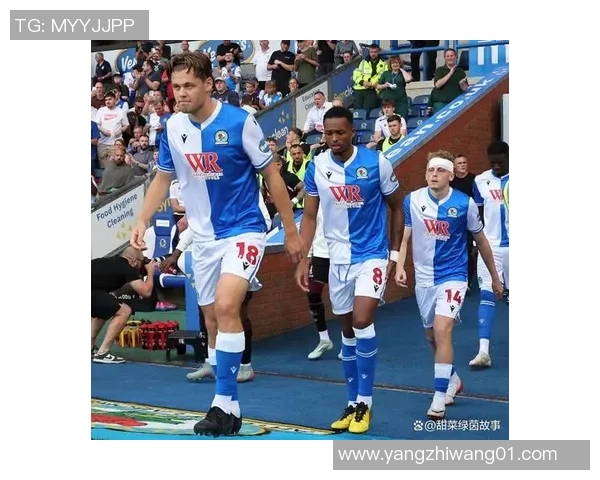 赫尔城主场迎战布莱克本力争三分冲击联赛前列