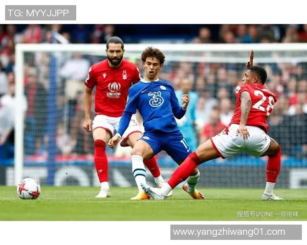 伯明翰与狼队对决分析谁将赢得这场英超焦点之战