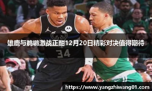 ld乐动首页